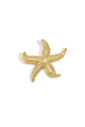 Coral Star broche haarspeld zeester met structuur – NOLAH